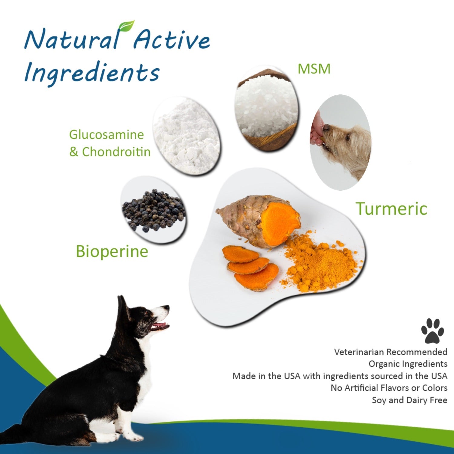 Advanced Hip and Joint Chews for Dogs with Organic Turmeric Curcumin